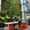 Succulents Living Walls Vertical Gardens Ideas12