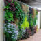 Succulents Living Walls Vertical Gardens Ideas19