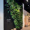 Succulents Living Walls Vertical Gardens Ideas22