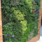 Succulents Living Walls Vertical Gardens Ideas24