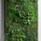 Succulents Living Walls Vertical Gardens Ideas27