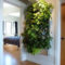 Succulents Living Walls Vertical Gardens Ideas29