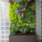 Succulents Living Walls Vertical Gardens Ideas35