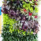 Succulents Living Walls Vertical Gardens Ideas38