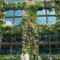 Succulents Living Walls Vertical Gardens Ideas39