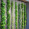 Succulents Living Walls Vertical Gardens Ideas40
