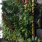 Succulents Living Walls Vertical Gardens Ideas43