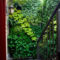 Succulents Living Walls Vertical Gardens Ideas44