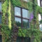 Succulents Living Walls Vertical Gardens Ideas48