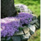 Beautiful Flower Beds Ideas For Home14