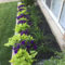 Beautiful Flower Beds Ideas For Home17