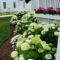 Beautiful Flower Beds Ideas For Home49