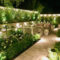 Cool Outdoor Lighting Ideas For Landscape19