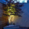 Cool Outdoor Lighting Ideas For Landscape30