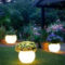 Cool Outdoor Lighting Ideas For Landscape35