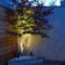 Impressive Backyard Lighting Ideas For Home09